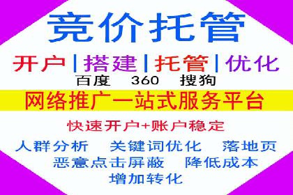 某某sem推广公司在某行业的应用与效果分析